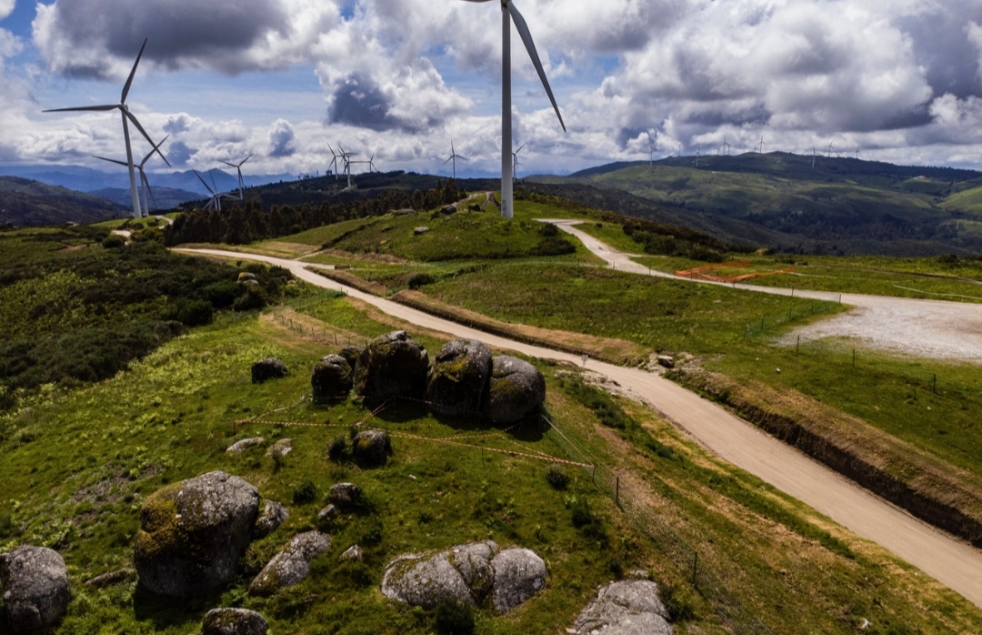 WhatsApp Image 2023-05-11 at 3.14.41 PM (1)