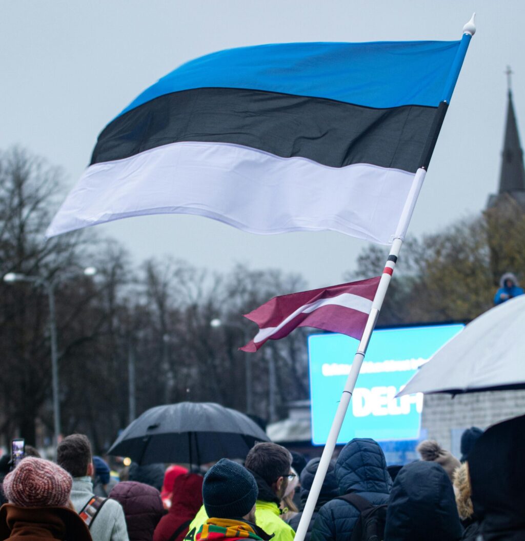 pexels-alaritammsalu-6641444